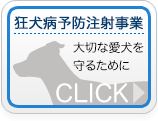 狂犬病予防注射事業バナー